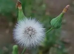 九游体育 -关于巇zˋ苦rI雪Y圭U濱u妝的信息