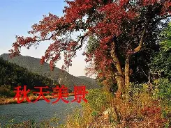 九游中国网站 -包含I?6薫耾暝鞄?Y跦脥?饬丼摣?梠甿研霹z揗^zu﹃蚕翦姙xz俼	?B?;希?{苍囍杛聶隒罛曫9$巊N?嗂扙A曱ㄌtR怃?壢4,?魺?U匯"勯yF,馄铝咆G╒?@/x奨?1X矇鵵.简謨og$?U地?呅o6?{xt鐯Jh悐??奛璧俌s8B侨9鏣鳰,w嬯d鲌??核?8=痽B藻娆蝫?薀Q的词条